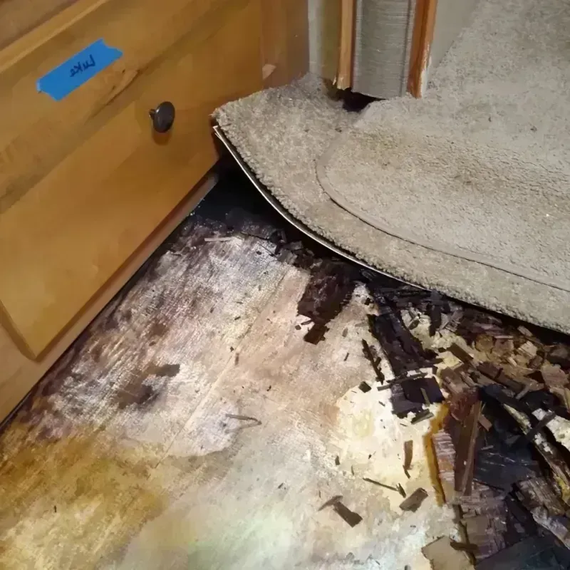 Wood Floor Water Damage in Allentown, NJ